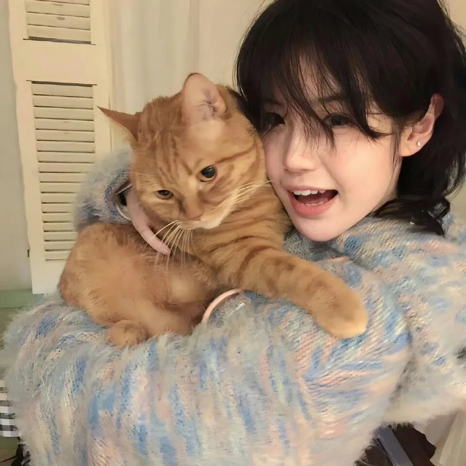 猛兽列车